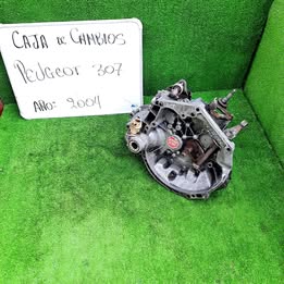 Caja de cambio Peugeot 307 año:2002