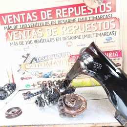 Dos suspensión MacPherson Samsung sm3 año:2013