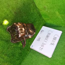 Tapa cárter chevrolet luv 2.3 año:2000