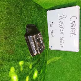 Tapa de cárter Peugeot 206 1.4 año:2000