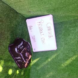 Tapa de cárter Renault clio año:2004