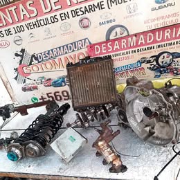 Computador suzuki maruti año:2002