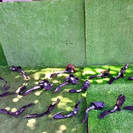 Pedal kia soul año:2014